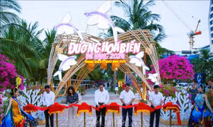 Khai trương 'Đường hoa biển Đà Nẵng 2024'