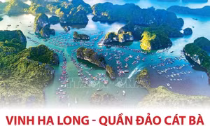 Thông tin chi tiết về Di sản Địa chất quốc tế Vịnh Hạ Long - Quần đảo Cát Bà