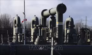 CH Séc chủ động chuẩn bị khí đốt cho mùa Đông