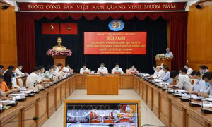 TP Hồ Chí Minh đảm bảo tiến độ đại hội đảng bộ các cấp