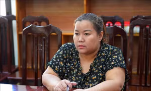 Bắt tạm giam đối tượng lừa huy động vốn để chiếm đoạt hơn 70 tỷ đồng