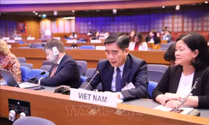Việt Nam cam kết thúc đẩy hoàn thành Các mục tiêu phát triển bền vững
