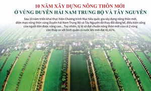 Hơn 42% số xã ở Duyên hải Nam Trung bộ và Tây Nguyên đạt chuẩn nông thôn mới