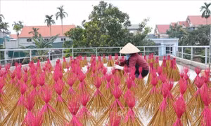 Làng hương truyền thống bận rộn khi đơn hàng Tết tăng 2-3 lần
