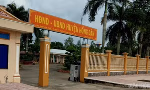 Bạc Liêu: Khai trừ đảng nguyên Phó Chủ tịch Hội Nông dân huyện Hồng Dân