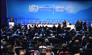 COP27: Colombia cam kết đóng góp hàng tỷ USD bảo vệ rừng Amazon