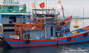 Ngư dân Quảng Nam khẩn trương tìm nơi trú ẩn an toàn
