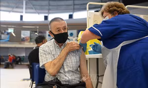 Hiệu quả của mũi vaccine tăng cường thứ hai ngừa COVID-19 ở người cao tuổi