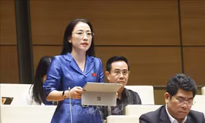 Lạm dụng AI, nguy cơ 'người biến thành máy trước khi máy biến thành người'