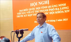 Cử tri tin tưởng vào sự lãnh đạo của Đảng và sự phát triển của Quảng Ninh