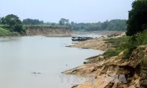 Di dời khẩn cấp các hộ dân ra khỏi khu vực sạt lở bờ sông Chảy 