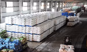 Thị trường phân bón 2023: Những tác động đa chiều