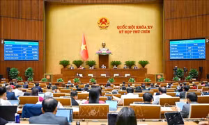 Tổ chức tinh gọn, thống nhất bộ máy MTTQ, các đoàn thể từ trung ương đến cơ sở