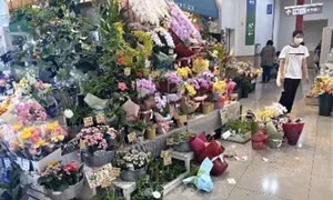 Động đất tại Nhật Bản: Hàng chục nghìn hộ gia đình bị mất điện, dỡ bỏ cảnh báo sóng thần