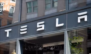 Tesla vướng vào hai vụ kiện tập thể về chống độc quyền