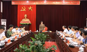 Triển khai các hoạt động kỷ niệm 110 năm Ngày sinh Tổng Bí thư Nguyễn Văn Cừ
