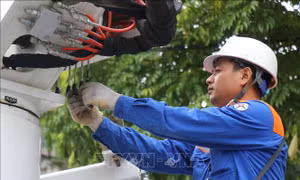 Điện lực Lào Cai lên kế hoạch ứng phó khi xảy ra sự cố thiên tai