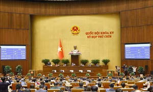 Kỳ họp thứ 9, Quốc hội khóa XV: Quốc hội thông qua 6 Nghị quyết quan trọng