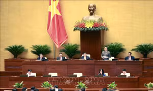 Thông cáo báo chí số 7, Kỳ họp thứ 5, Quốc hội khóa XV