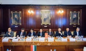 Kiểm toán Việt Nam và Hungary nhất trí tăng cường hợp tác