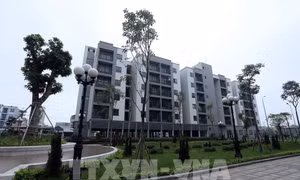 Quảng Ninh thành lập Ban chỉ đạo phát triển nhà ở cho thuê