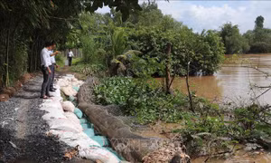 Sạt lở bờ sông vùng đầu nguồn sông Tiền ngày càng nghiêm trọng