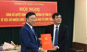 Đồng chí Nguyễn Hồng Sơn được bổ nhiệm làm Trưởng ban Tổ chức Tỉnh ủy Hải Dương