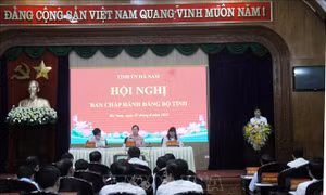 Hà Nam thực hiện quy trình giới thiệu nhân sự quy hoạch Ban Chấp hành Trung ương Đảng khóa 14
