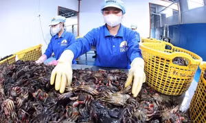 Mở thêm không gian để kinh tế tư nhân bứt phá