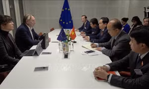 EU ghi nhận sự phát triển và năng lực của Việt Nam về chuyển đổi xanh