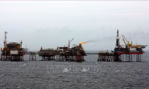 Vietsovpetro, PVEP, PVOIL và BSR hợp tác cung cấp dầu thô và tiêu thụ sản phẩm