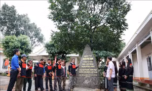 Tổng Bí thư Nguyễn Phú Trọng trong trái tim đồng bào Tây Nguyên - Bài cuối: Vững niềm tin theo Đảng