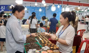 Đà Nẵng: Xây dựng năng lực xuất khẩu trực tuyến