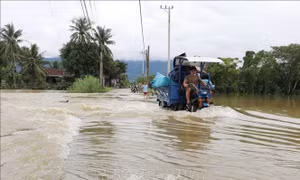 Phú Yên: Mưa lớn kéo dài, nhiều nơi tại huyện Tây Hòa ngập sâu trong nước