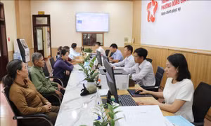 Tăng tốc số hóa dữ liệu, đơn giản hóa việc giải quyết hồ sơ