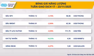 Áp lực dư cung đè nặng thị trường, MXV-Index đánh mất gần 2%