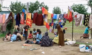 IOM cảnh báo tình hình 'thảm họa' ở Sudan