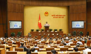 Ban hành luật, nâng cao nhận thức của người dân trong việc sử dụng rượu, bia