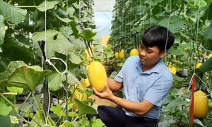 Nỗ lực giảm nghèo bền vững ở huyện miền núi Bác Ái, Ninh Thuận