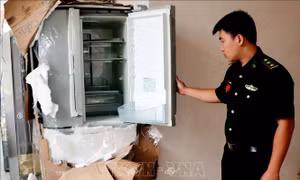 Bắt giữ hai xe tải chở hàng điện tử, điện lạnh đã qua sử dụng nhập lậu qua biên giới