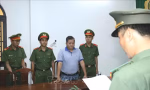 Khởi tố Chủ tịch Hội đồng quản trị, Giám đốc Công ty cổ phần Mekolor