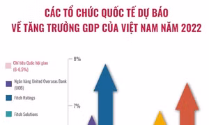 Các tổ chức quốc tế dự báo về tăng trưởng GDP của Việt Nam năm 2022