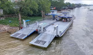 Lãng phí từ bến phà trọng điểm nối Cần Thơ - Vĩnh Long 'đắp chiếu' gần 5 năm