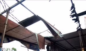 Quảng Ngãi huy động tổng lực khẩn trương giúp người dân ổn định cuộc sống