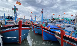Ninh Thuận: Khuyến cáo không nên đưa tàu thuyền ra khơi khi thời tiết bất lợi