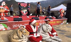 Khám phá ngôi làng ông già Noel mùa Giáng sinh