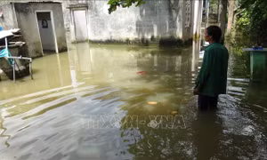 Xóm 'nước nổi' giữa lòng thành phố Đồng Xoài, Bình Phước