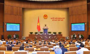 Ngày 11/6, đại biểu Quốc hội biểu quyết thông qua 2 nghị quyết, cho ý kiến 2 dự án Luật