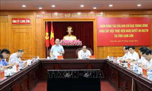 Phát huy vai trò của cựu chiến binh trong phát triển kinh tế - xã hội địa phương