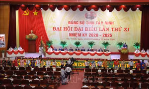 Tây Ninh thực hiện chủ trương bố trí Bí thư cấp ủy cấp huyện, xã không phải là người địa phương
